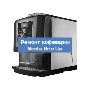 Замена прокладок на кофемашине Necta Brio Up в Санкт-Петербурге